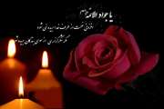 شهادت جوادالائمه امام محمد تقی(ع) تسلیت باد